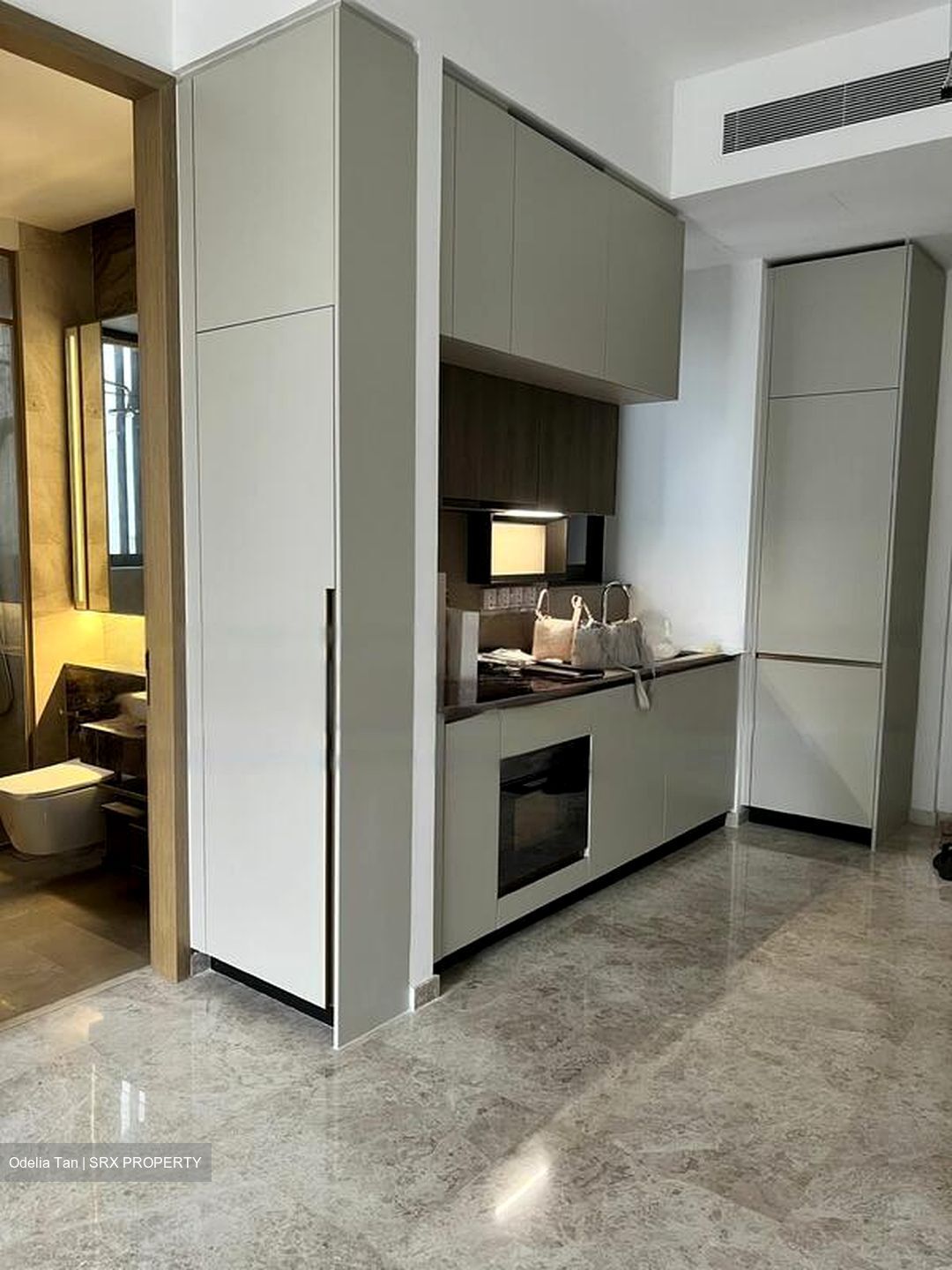 The Avenir (D9), Condominium #438589251